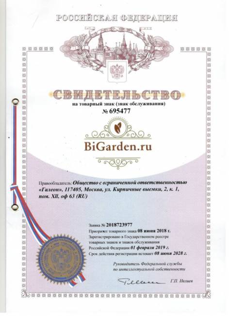 Подвесное кресло "Kokos Black BS" Зеленая подушка