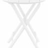 Стол пластиковый складной Helen Folding Table Ø60 белый Ø600х740 мм